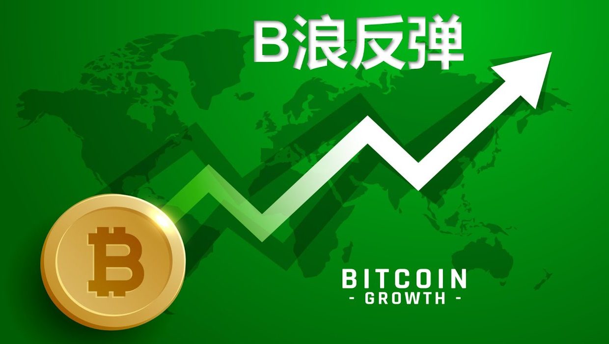 Bitcoin Growth Drivers