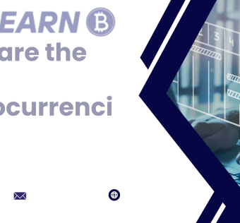 What are the top 5 cryptocurrencies